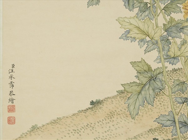 清汪承霈畫菊　軸