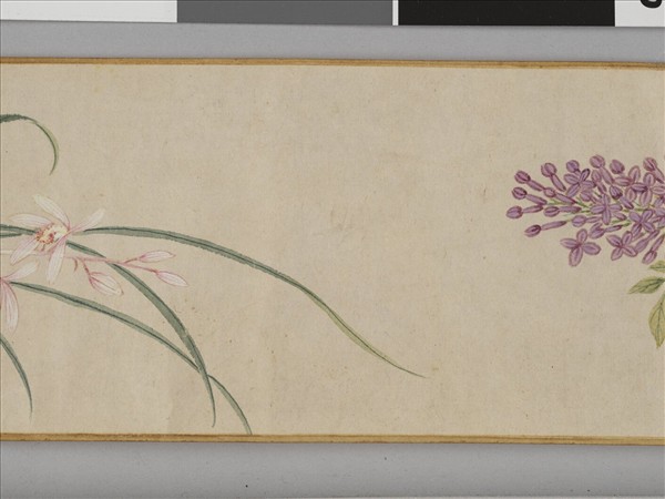 畫花卉 卷