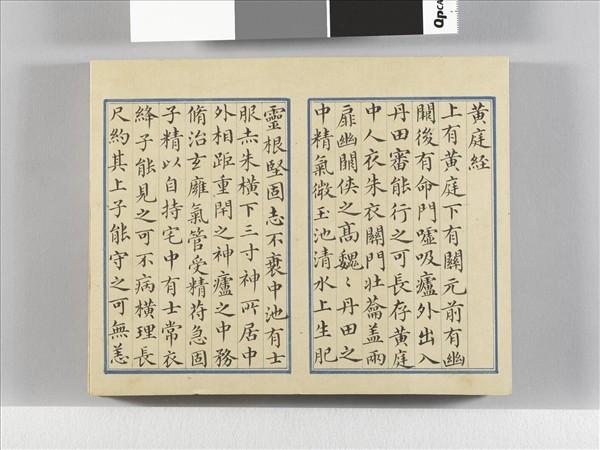 臨王羲之楷帖二種 冊