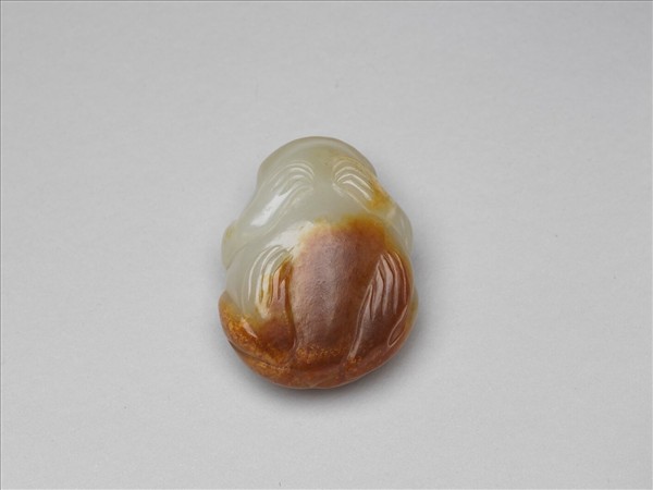 玉蟾蜍