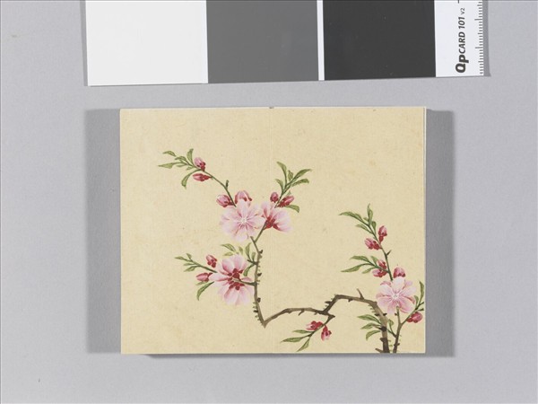 畫春花八種 冊