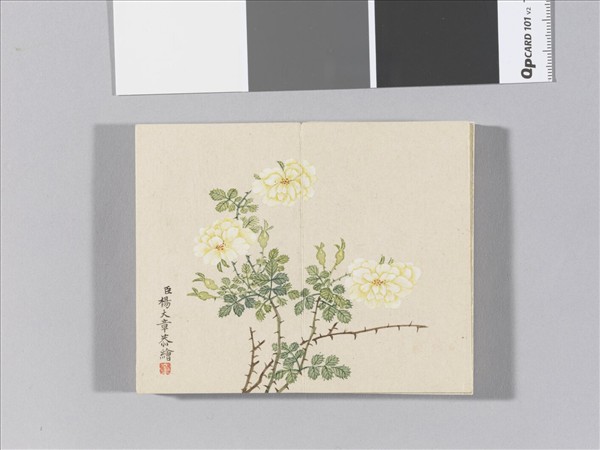 畫春花八種 冊