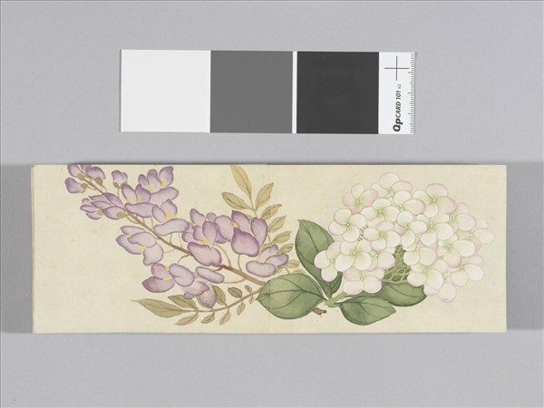 畫花卉 冊