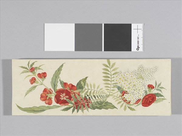 畫花卉 冊