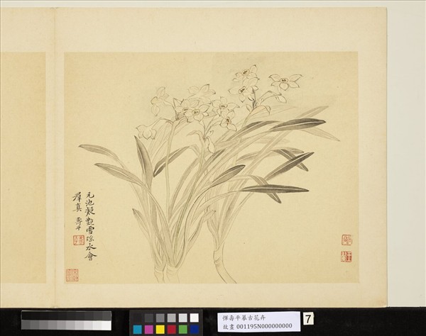 清惲壽平摹古　冊　水仙