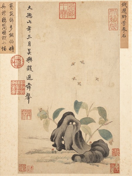 歷朝畫幅集冊　冊　宋錢選野芳拳石