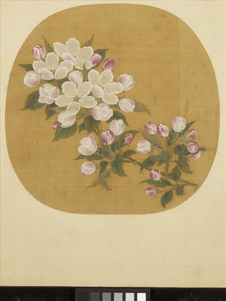 宋元集繪　冊　宋林椿寫生海棠