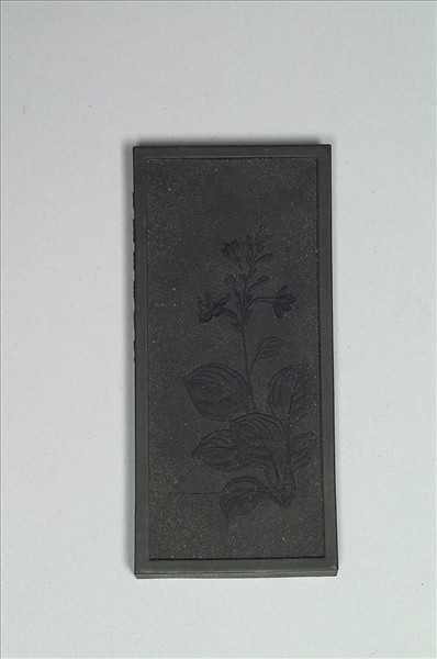 御詠花卉「玉簪」詩墨