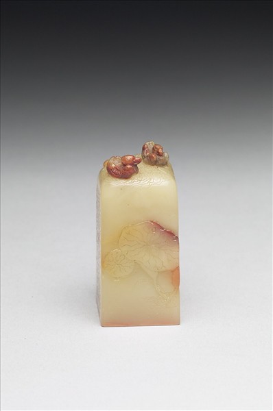 壽山石「非翁所藏」印