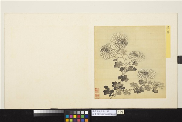 清馬元馭花卉　冊　墨菊