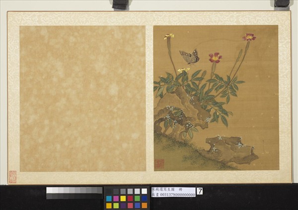 宋錢選寫生圖　冊　花草蝴蝶
