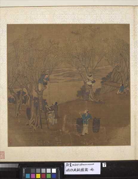 明仇英耕織圖　冊　採桑