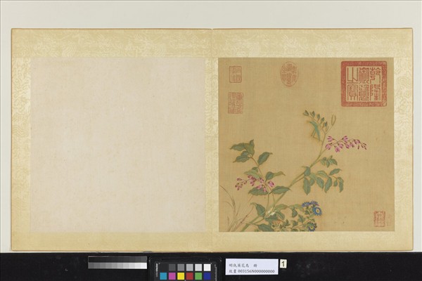 明仇英花鳥　冊　菊花蝗蟲