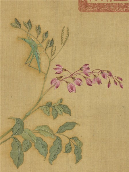 明仇英花鳥　冊　菊花蝗蟲
