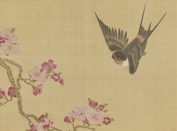 明仇英花鳥　冊　杏花飛燕