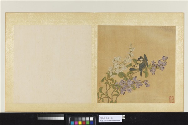 明仇英花鳥　冊　紫薇白頭翁