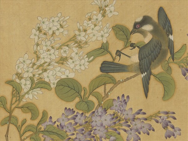 明仇英花鳥　冊　紫薇白頭翁