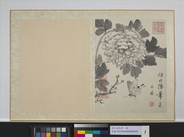 清王武花卉　冊　墨畫牡丹