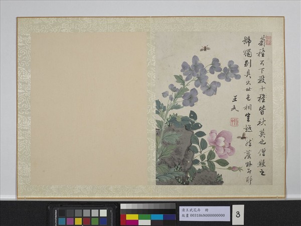 清王武花卉　冊　僧鞋菊月季花
