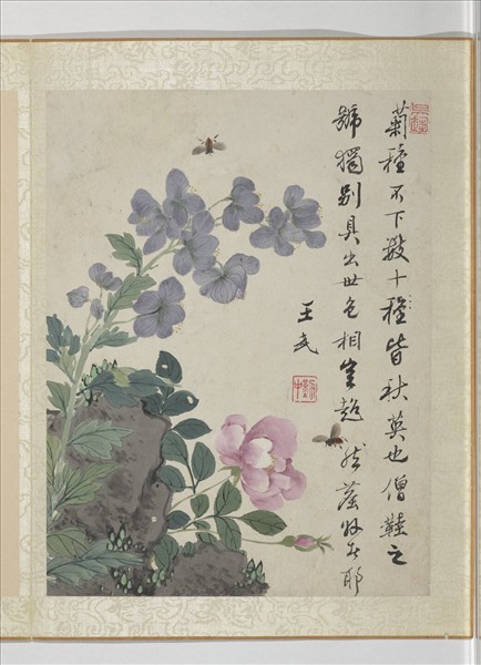 清王武花卉　冊　僧鞋菊月季花