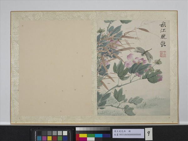 清王武花卉　冊　芙蓉花