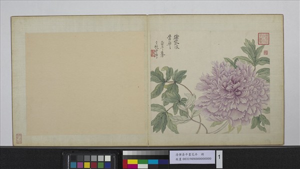 清惲壽平畫花卉　冊　徐家沒骨華