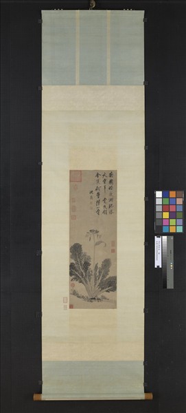 明沈周蔬菜　軸