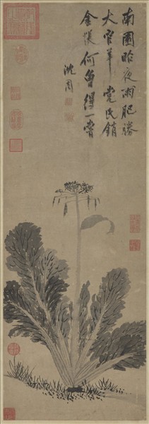 明沈周蔬菜　軸