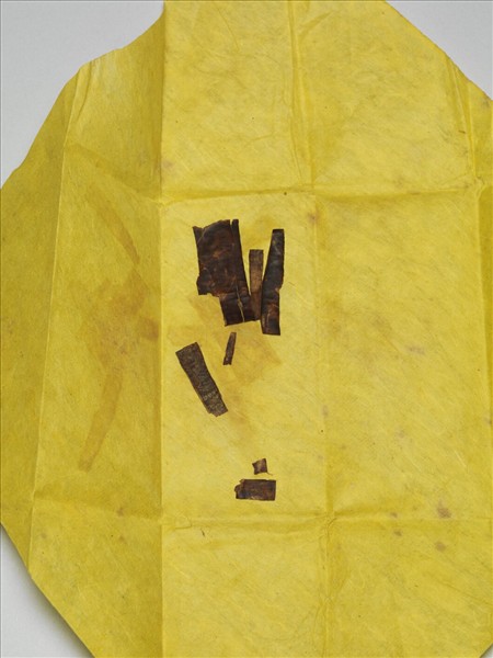 白檀木顯字枝葉