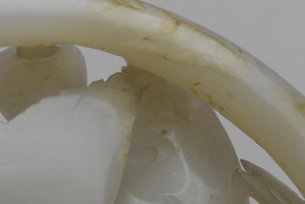 「春水」玉帶飾