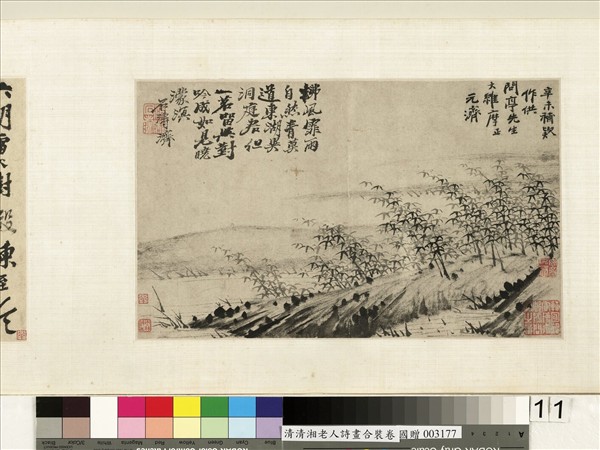 清石濤詩畫合璧　卷　書詩