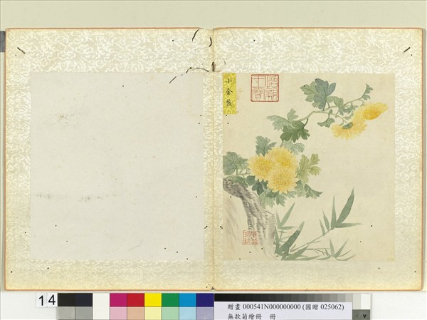 無款菊繪冊　冊　小金盤