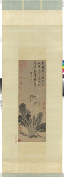 明沈周蔬菜　軸