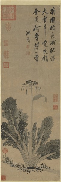 明沈周蔬菜　軸