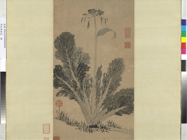 明沈周蔬菜　軸