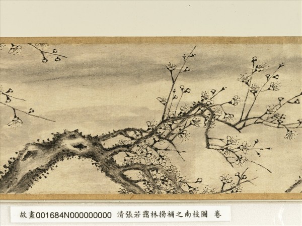 清張若靄臨揚補之南枝圖　卷