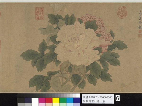 宋錢選畫牡丹　卷
