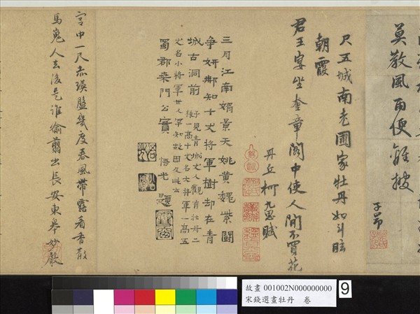 宋錢選畫牡丹　卷