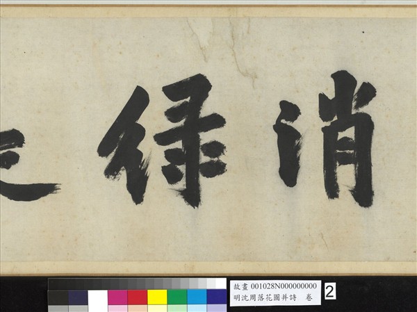 明沈周落花圖并詩　卷