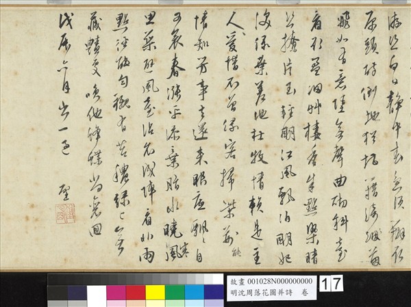 明沈周落花圖并詩　卷