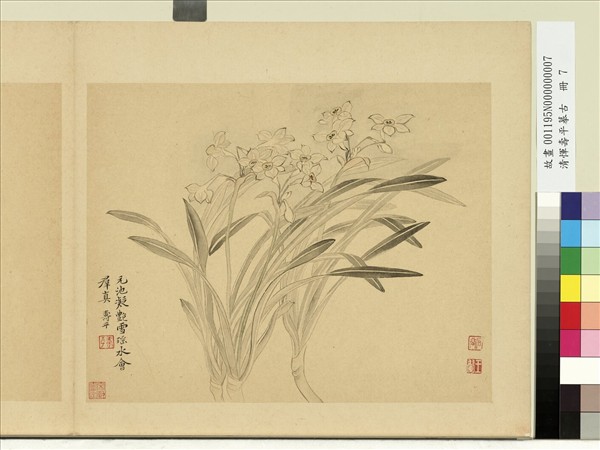 清惲壽平摹古　冊　水仙