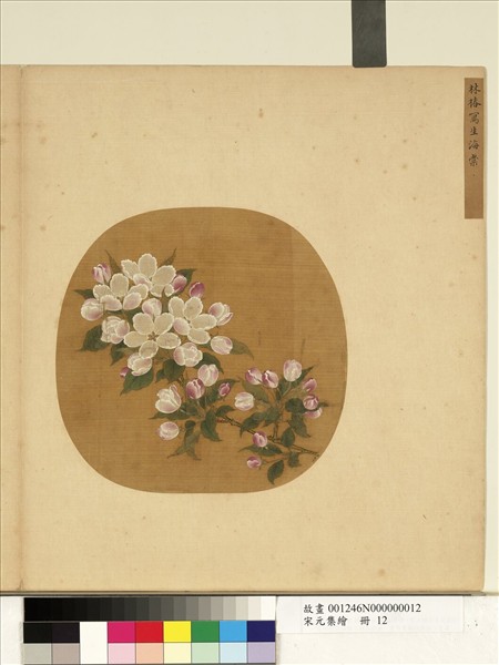 宋元集繪　冊　宋林椿寫生海棠