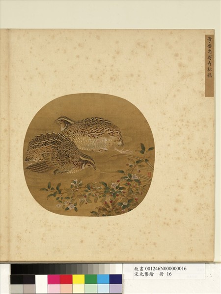 宋元集繪　冊　宋李安忠野卉秋鶉