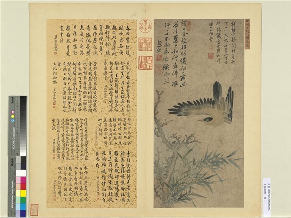 名畫琳瑯　冊　明姚綬竹樹春鶯