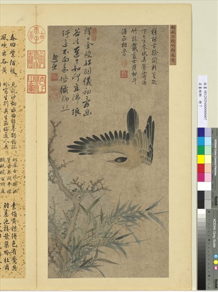 名畫琳瑯　冊　明姚綬竹樹春鶯