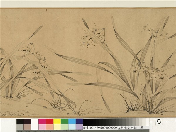 宋趙孟堅水仙　卷