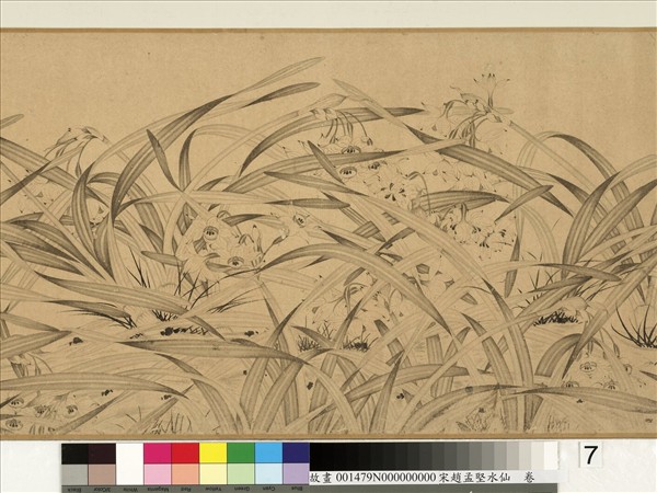 宋趙孟堅水仙　卷