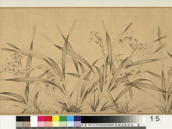 宋趙孟堅水仙　卷