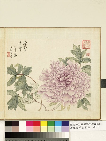 清惲壽平畫花卉　冊　徐家沒骨華