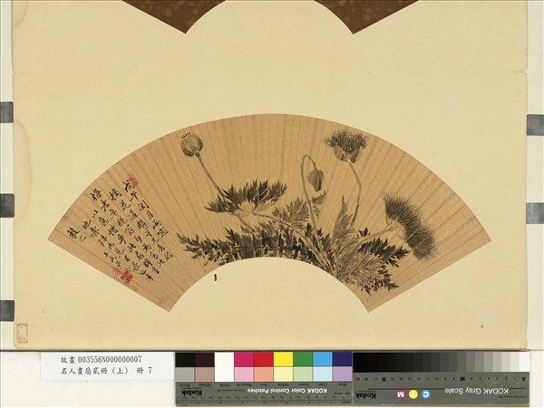 名人畫扇貳冊 (上)　冊　清王武罌粟